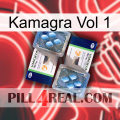Kamagra Vol 1 viagra5